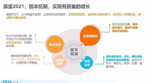 深度丨直擊中興通訊2020業績會 對 缺芯 已提前儲備,政企業務進入發展快車道